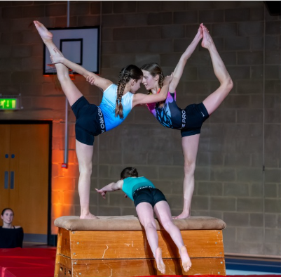 Gym & Dance Display